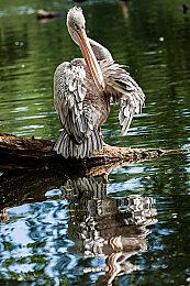 瞬移机制2D精准平台游戏《忍者明》Demo上线Steam，有奖速通活动开启！